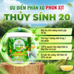 Ưu điểm phân thủy sính 20