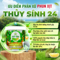 Ưu điểm phân xô phun xịt Thủy Sính 24