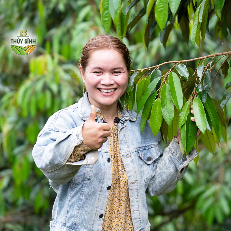 Chị Thiền - Cây sầu riêng