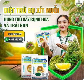 Ảnh bổ sung